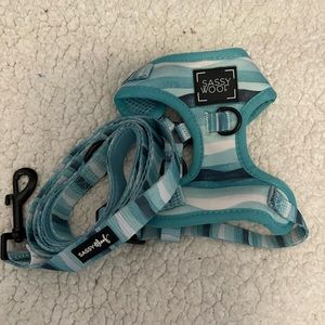 Sassy Woof dog harness bundle